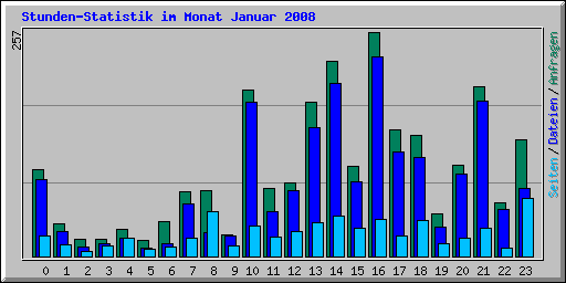 Stunden-Statistik im Monat Januar 2008