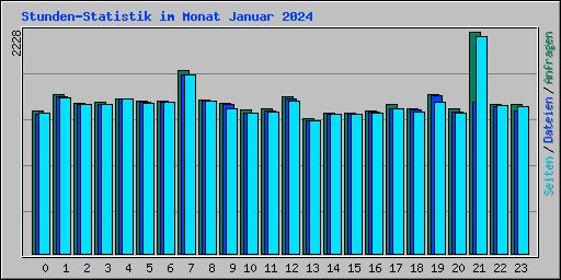 Stunden-Statistik im Monat Januar 2024