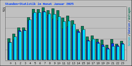Stunden-Statistik im Monat Januar 2025